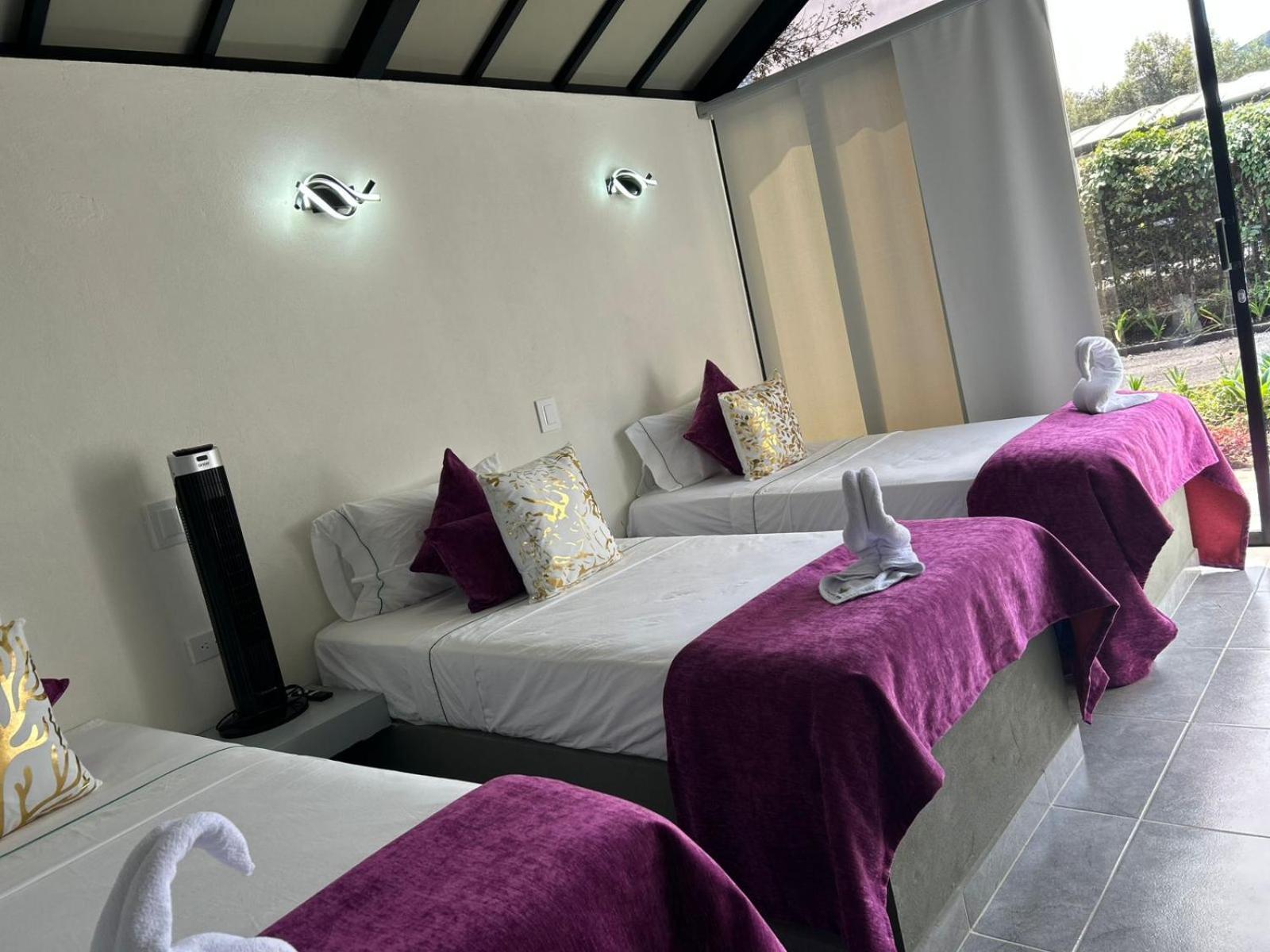 Star Center Hotel Boutique Rionegro Eksteriør bilde
